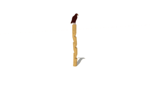 HH1D00 004 Splhaci totem OREL akat 01