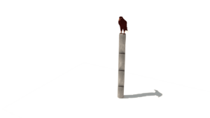 HH1D00 004 Splhaci totem OREL ms 01