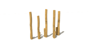 HH1D00 017 Chudy akat 01