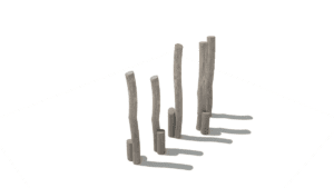 HH1D00 017 Chudy ms 02