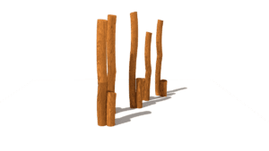 HH1D00 017 Chudy standard 01