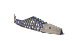 HH1H00 008 Prolezacka Kapr ms 01