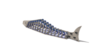 HH1H00 008 Prolezacka Kapr ms 02