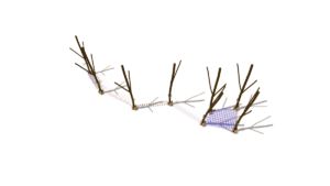 HH1L01 011 Lanova draha ZIZALA akat 02