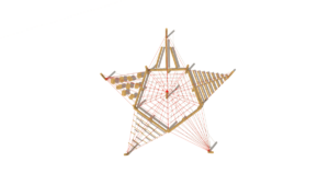 HH1N01 007 Morska hvezdice akat 02